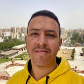 Mohammed AbdelSalam Helaly's Profile Picture