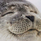 Mathias's Profile Picture