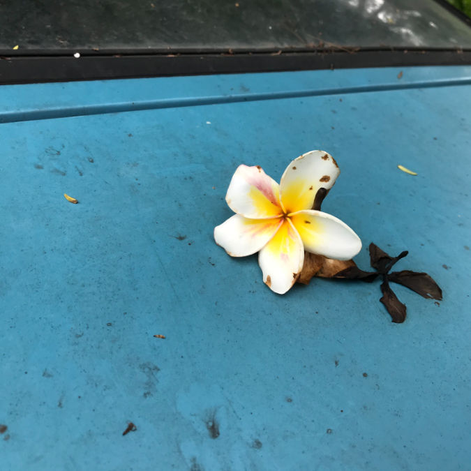 View Maxine Mae A. Abrogar