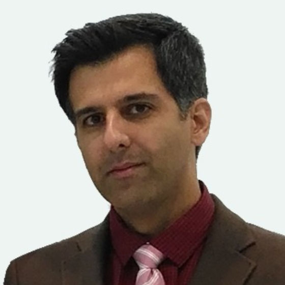 Profile image for Hossein S.