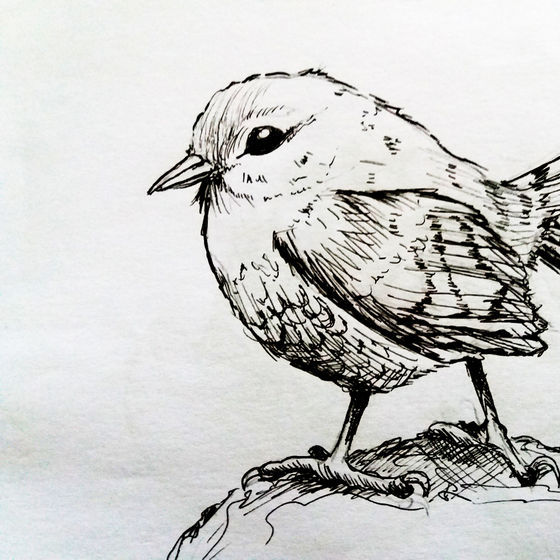 Profile image for Cristina H.