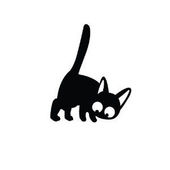 Zitong Li's Profile Picture