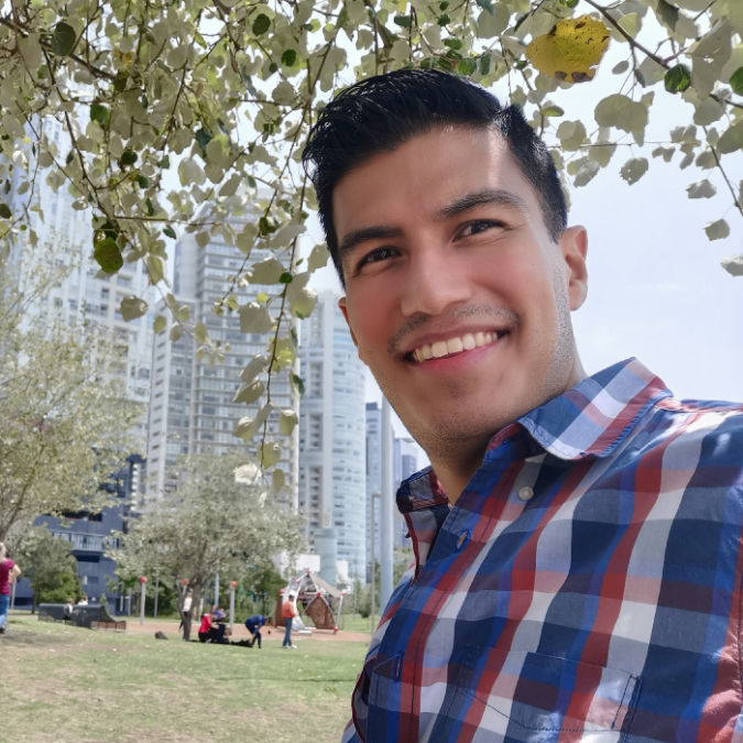 View José Domínguez