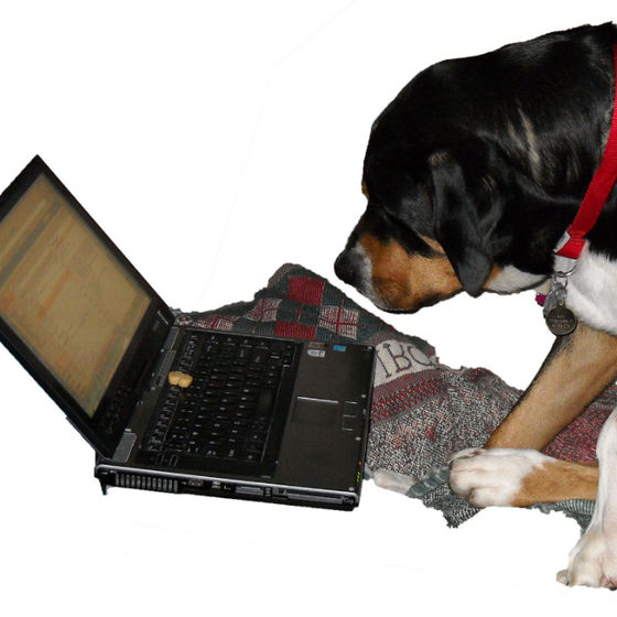 Profile image for Hugh T.