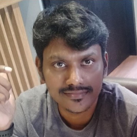 Profile image for karthickannan P.