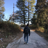 Ravi Java's Profile Picture