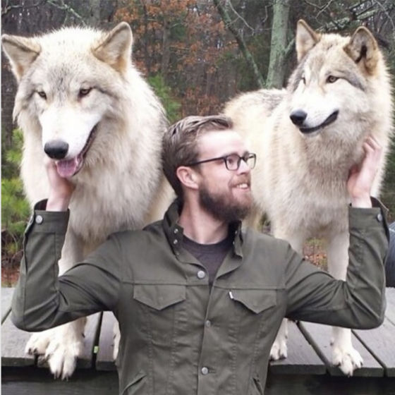 Profile image for Dan P.