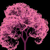 Vaishnavi R's Profile Picture