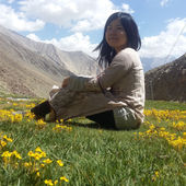 Tomoko Kimura's Profile Picture