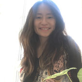 Hoi-En Tang's Profile Picture
